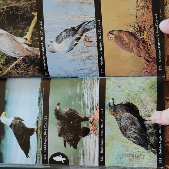 National Audubon Society Field Guide to North American Birds : Eastern Region EC - Picture 3 of 16